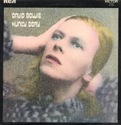 Hunky Dory